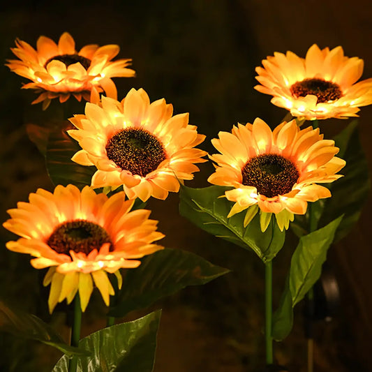 Girasol solaris